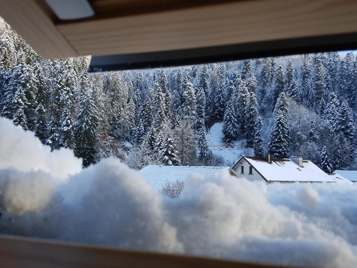 Ferienwohnung Le petit Kichon Gérardmer Exterior foto